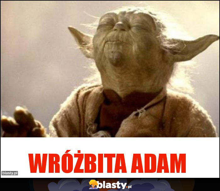 WRÓŻBITA ADAM WRÓŻBITA ADAM