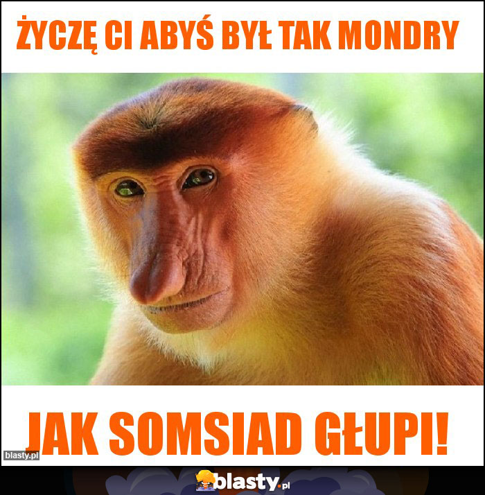 Życzę Ci abyś był tak mondry Życzę Ci abyś był tak mondry