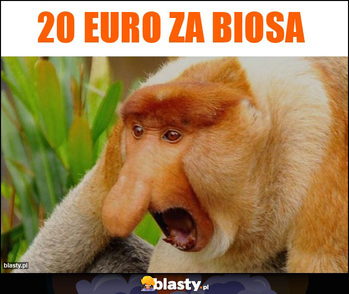 20 EURO ZA BIOSA 20 EURO ZA BIOSA