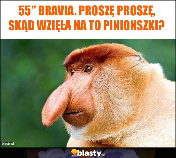 55 55