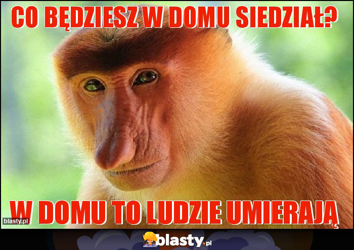 Co będziesz w domu siedział? Co będziesz w domu siedział?