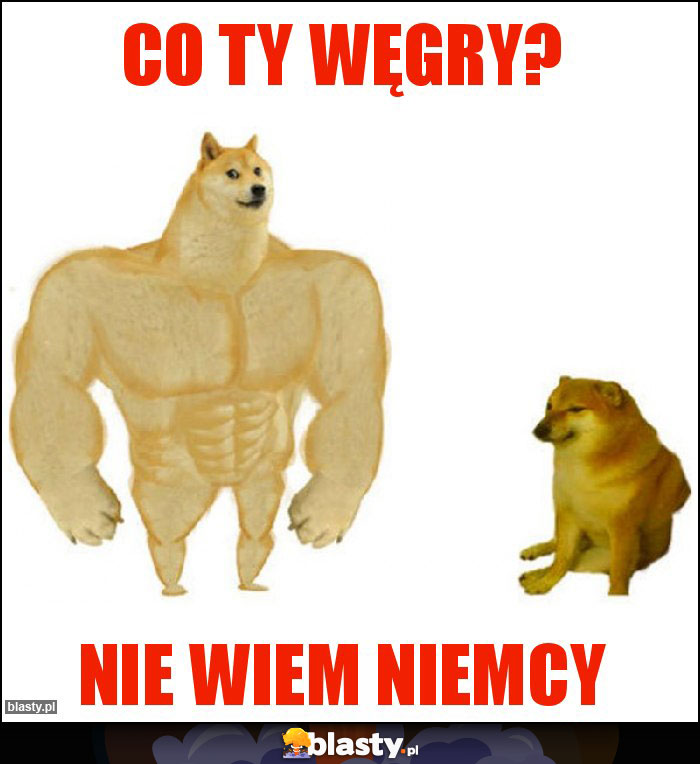 CO TY WĘGRY? CO TY WĘGRY?