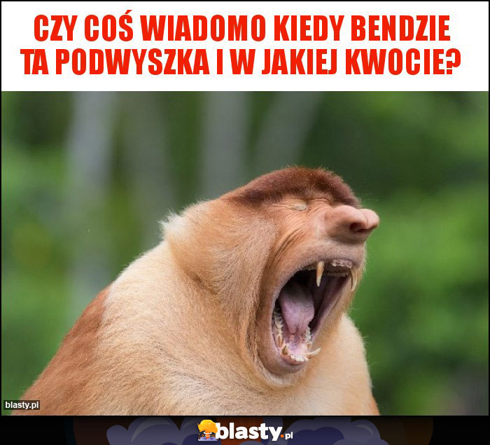 Czy coś wiadomo kiedy bendzie ta podwyszka i w jakiej kwocie? Czy coś wiadomo kiedy bendzie ta podwyszka i w jakiej kwocie?
