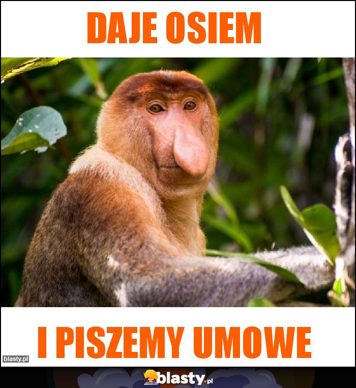 Daje osiem