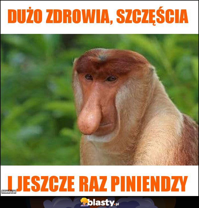 DUŻO ZDROWIA, SZCZĘŚCIA DUŻO ZDROWIA, SZCZĘŚCIA