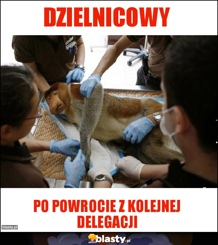 Dzielnicowy Dzielnicowy