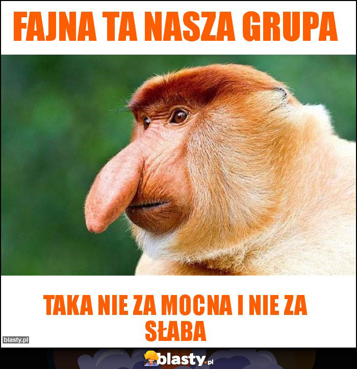 Fajna ta nasza grupa Fajna ta nasza grupa