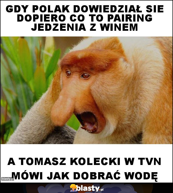Gdy polak dowiedział sie dopiero co to pairing jedzenia z winem Gdy polak dowiedział sie dopiero co to pairing jedzenia z winem