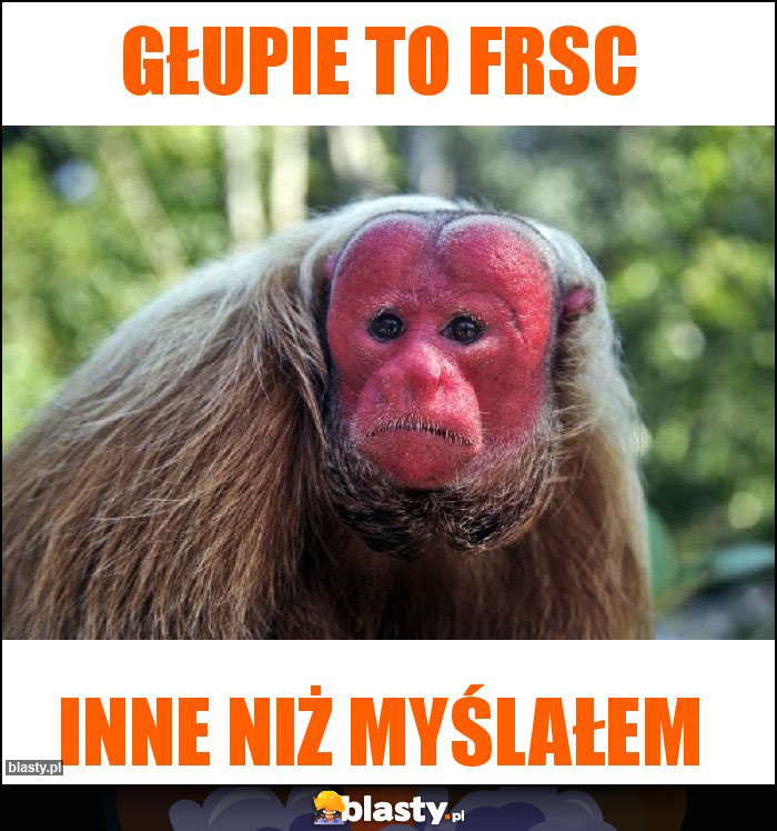 Głupie to FRSc Głupie to FRSc