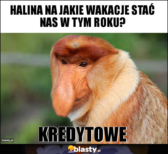 Halina na jakie wakacje stać nas w tym roku? Halina na jakie wakacje stać nas w tym roku?