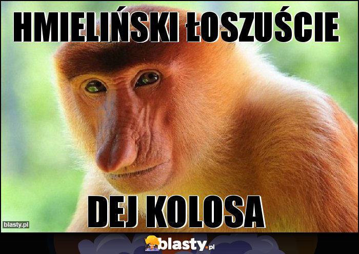 Hmieliński łoszuście Hmieliński łoszuście