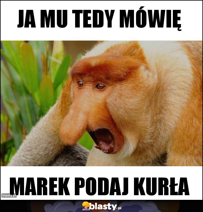 Ja mu tedy mówię Ja mu tedy mówię