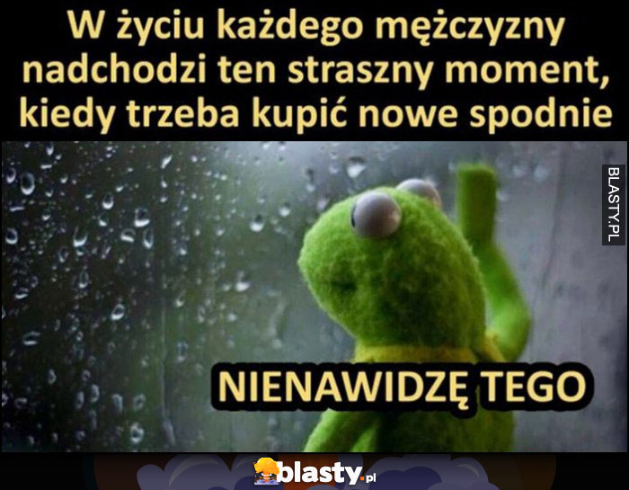 Kermit w życiu każdego mężczyzny nadchodzi straszny moment, kiedy trzeba kupić nowe spodnie nienawidzę tego