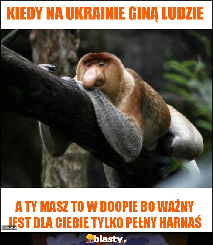 kiedy na ukrainie giną ludzie kiedy na ukrainie giną ludzie