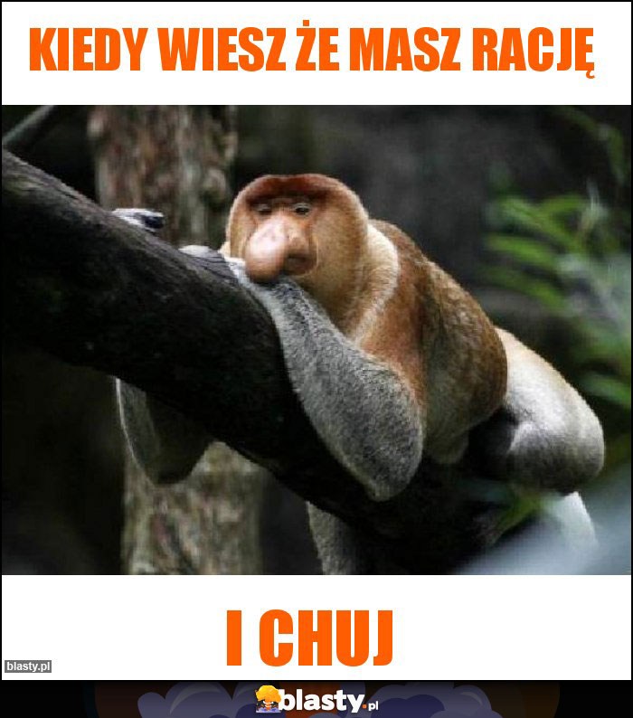 Kiedy wiesz że masz rację Kiedy wiesz że masz rację