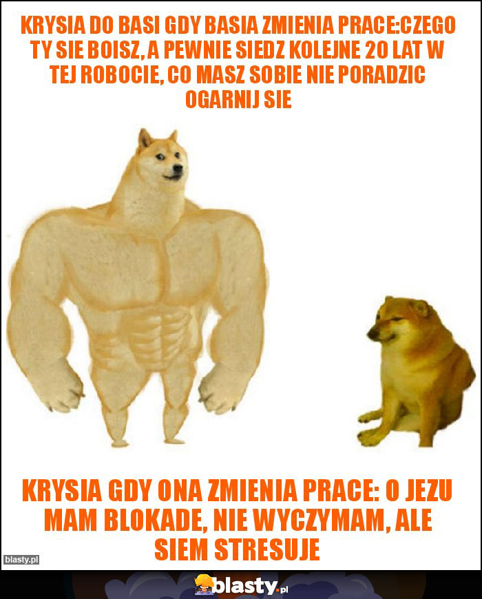 Krysia do Basi gdy Basia zmienia prace:czego Ty sie boisz, a pewnie siedz kolejne 20 lat w tej robocie, co masz sobie nie poradzic ogarnij sie Krysia do Basi gdy Basia zmienia prace:czego Ty sie boisz, a pewnie siedz kolejne 20 lat w tej robocie, co masz sobie nie poradzic ogarnij sie