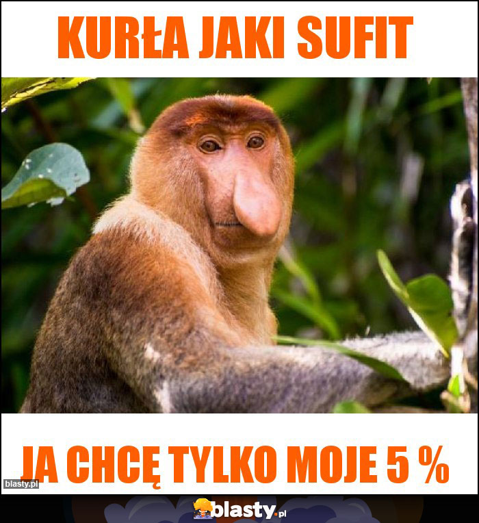 Kurła jaki sufit Kurła jaki sufit