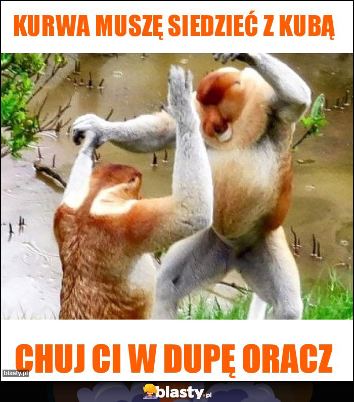 Kurwa muszę siedzieć z Kubą Kurwa muszę siedzieć z Kubą