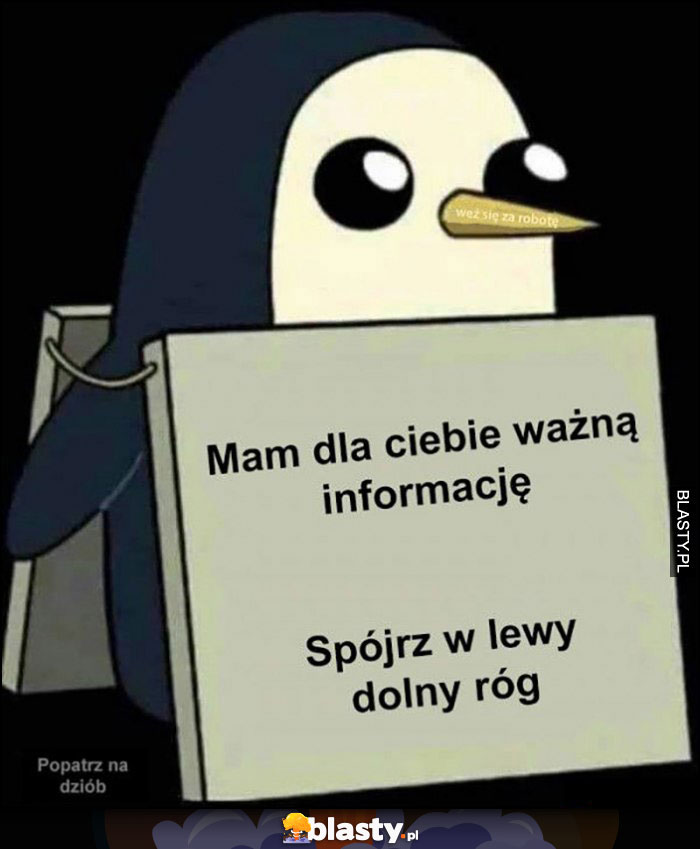 Mam dla ciebie ważną informację spójrz w lewy dolny róg pingwin