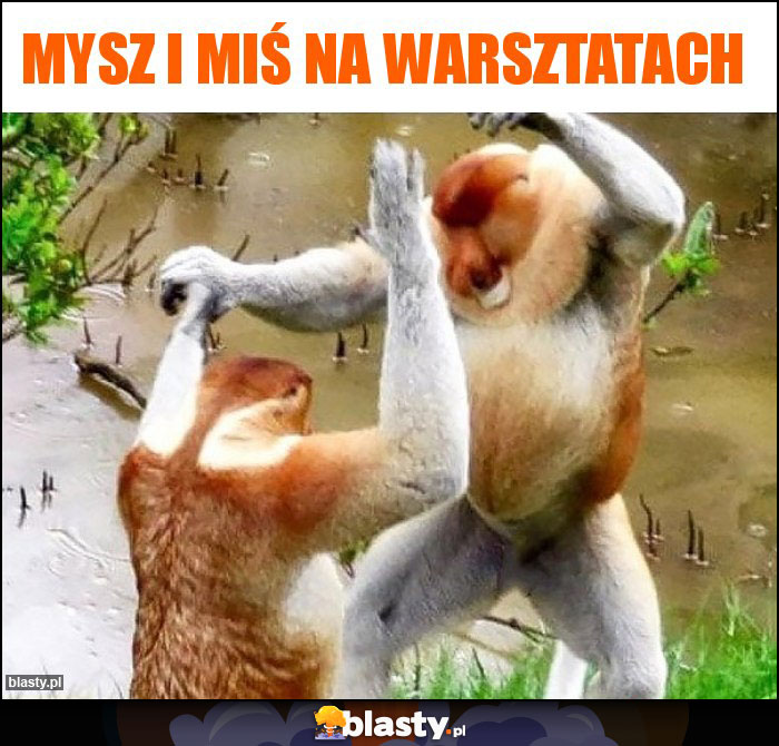 MYSZ I MIŚ NA WARSZTATACH MYSZ I MIŚ NA WARSZTATACH