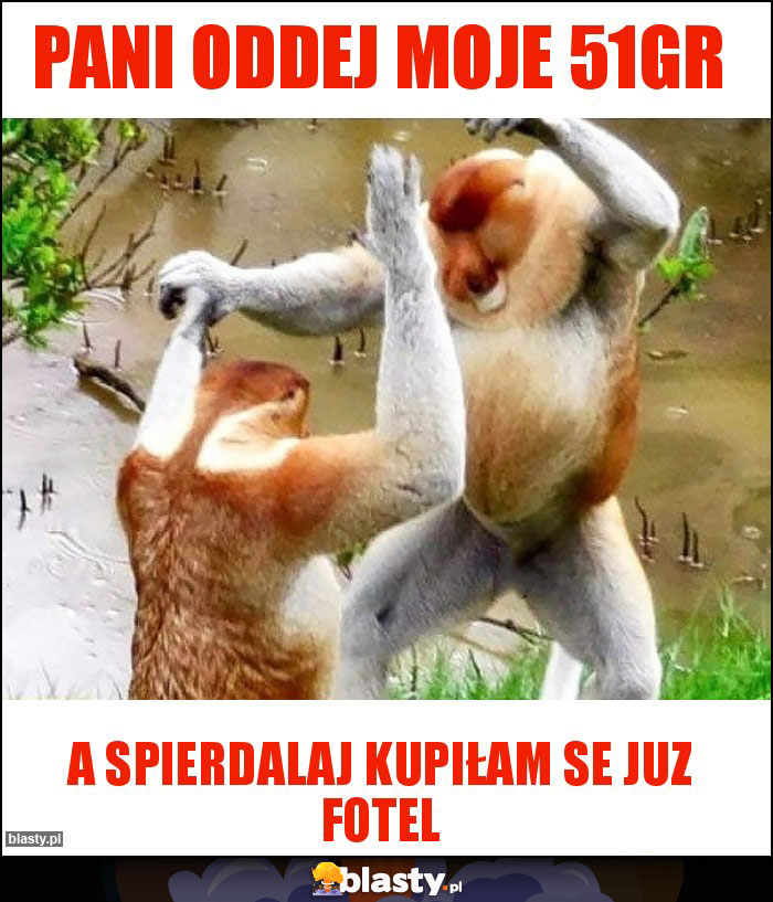 Pani oddej moje 51gr Pani oddej moje 51gr