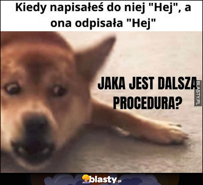 Pies kiedy napisałeś do niej hej a ona odpisała hej, jaka jest dalsza procedura?