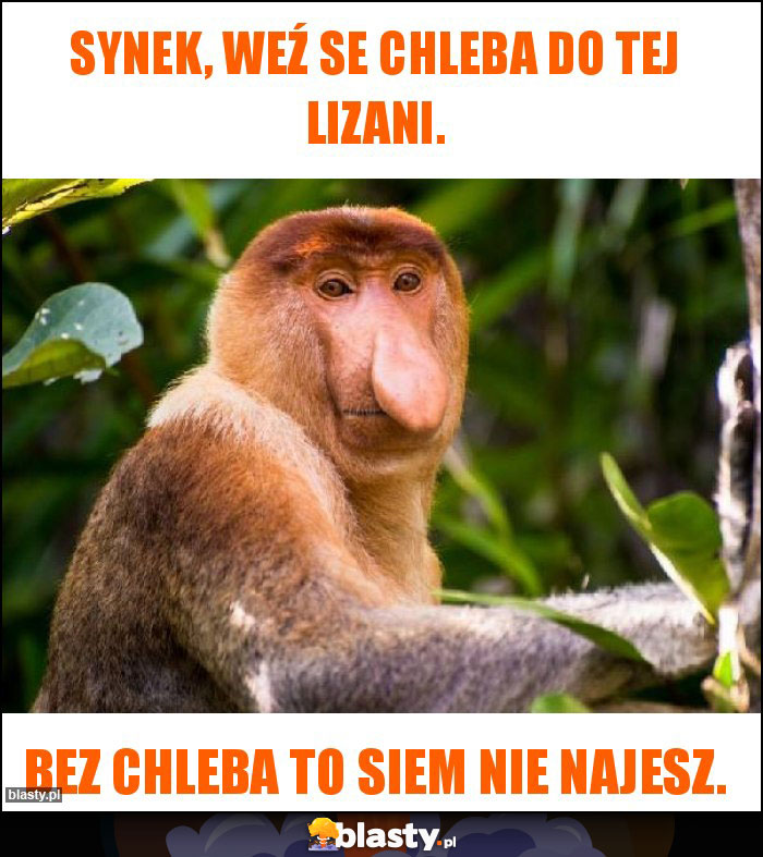 Synek, weź se chleba do tej lizani. Synek, weź se chleba do tej lizani.