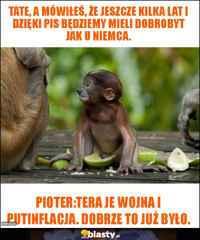 Tate, a mówiłeś, że jeszcze kilka lat i dzięki Pis będziemy mieli dobrobyt jak u Niemca. Tate, a mówiłeś, że jeszcze kilka lat i dzięki Pis będziemy mieli dobrobyt jak u Niemca.