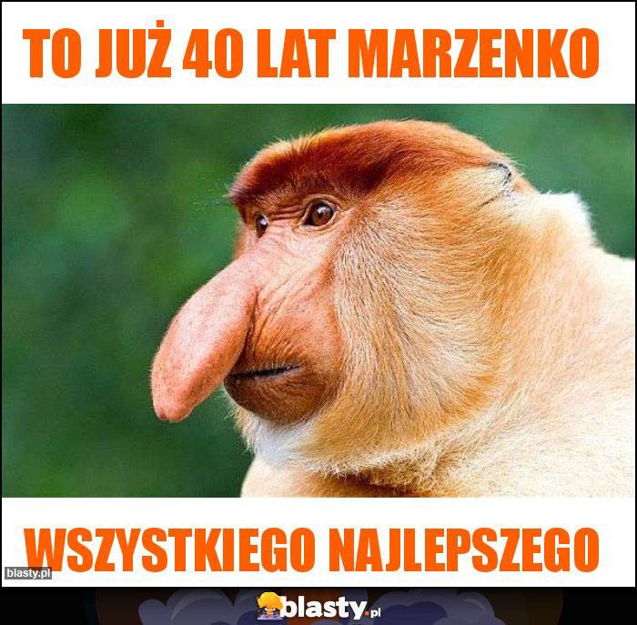 To już 40 lat Marzenko To już 40 lat Marzenko