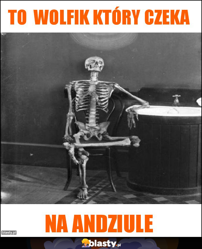 To Wolfik który czeka To Wolfik który czeka