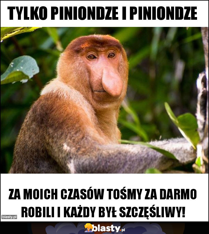 Tylko piniondze i piniondze