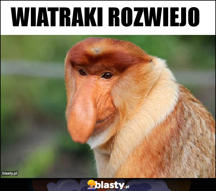 Wiatraki rozwiejo Wiatraki rozwiejo