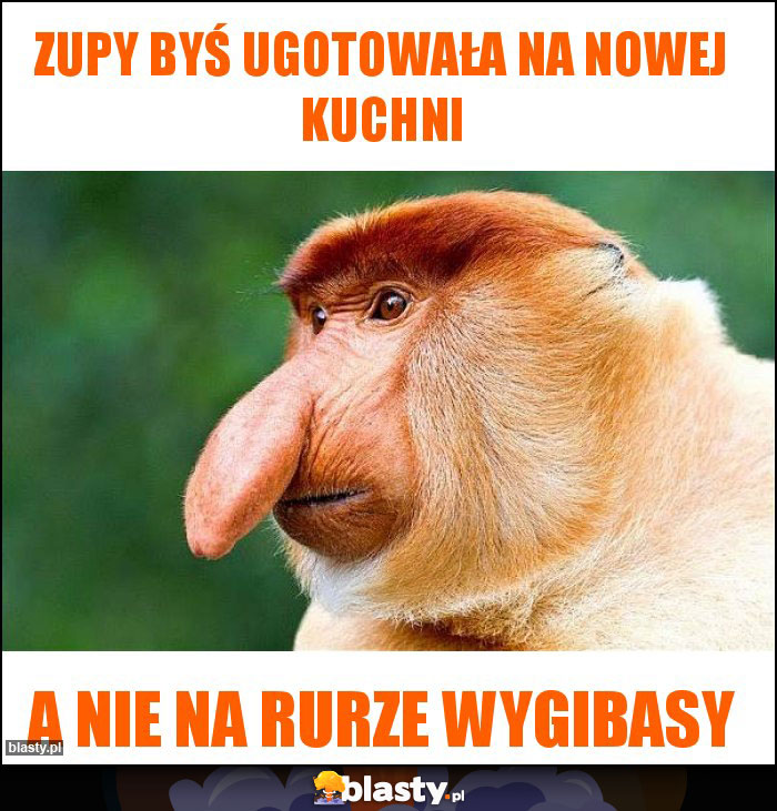 Zupy byś ugotowała na nowej kuchni Zupy byś ugotowała na nowej kuchni