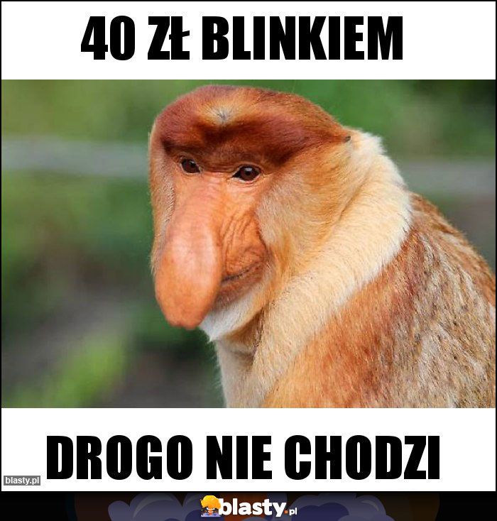 40 zł blinkiem