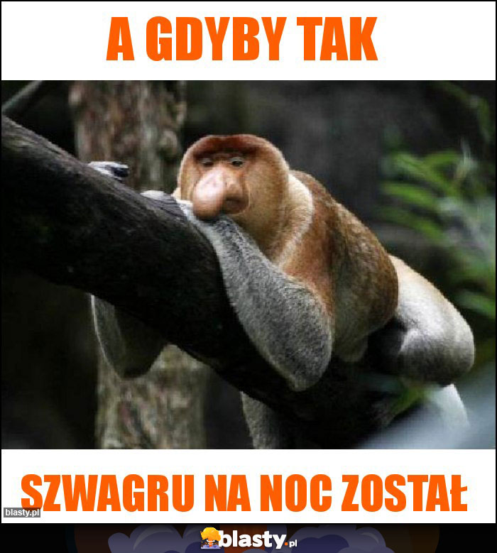 A gdyby tak A gdyby tak