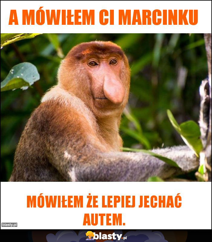 A mówiłem ci Marcinku A mówiłem ci Marcinku