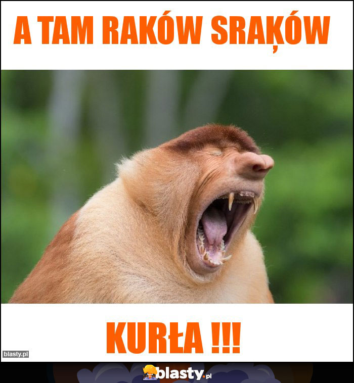 A tam raków sraķów A tam raków sraķów
