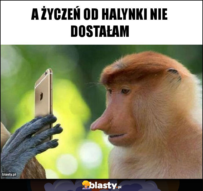 A życzeń od Halynki nie dostałam