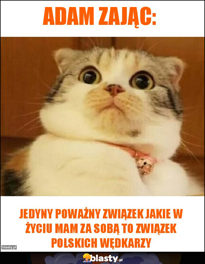 Adam Zając: