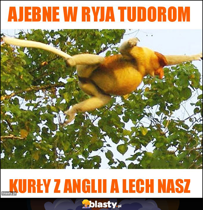 Ajebne w ryja tudorom Ajebne w ryja tudorom