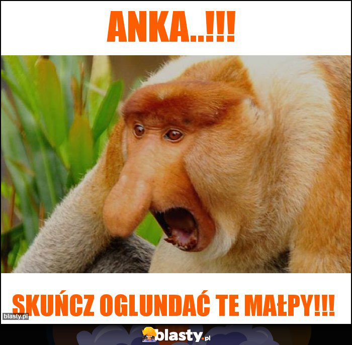 Anka..!!!