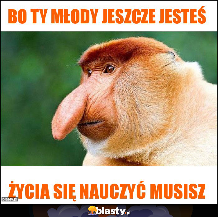 Bo ty młody jeszcze jesteś Bo ty młody jeszcze jesteś