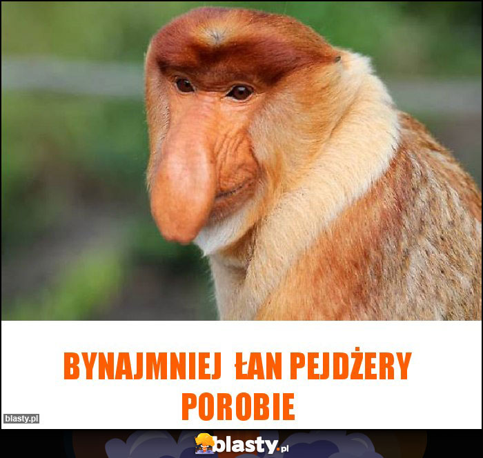 Bynajmniej  łan pejdżery porobie