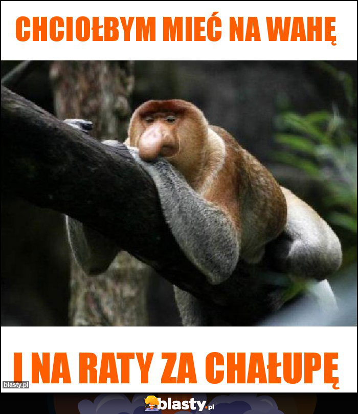 Chciołbym mieć na wahę Chciołbym mieć na wahę