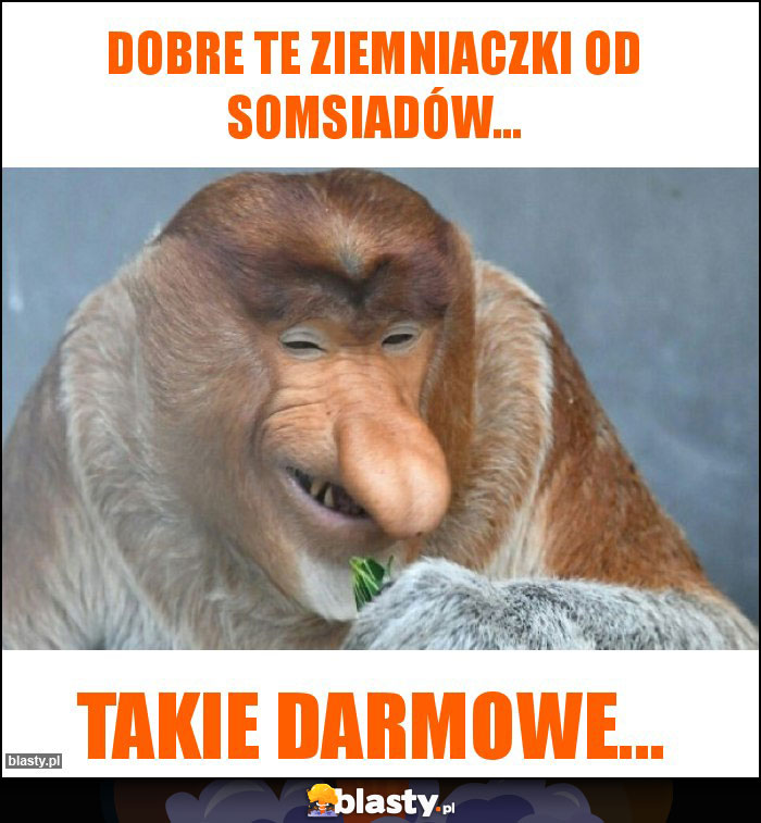 Dobre te ziemniaczki od somsiadów...