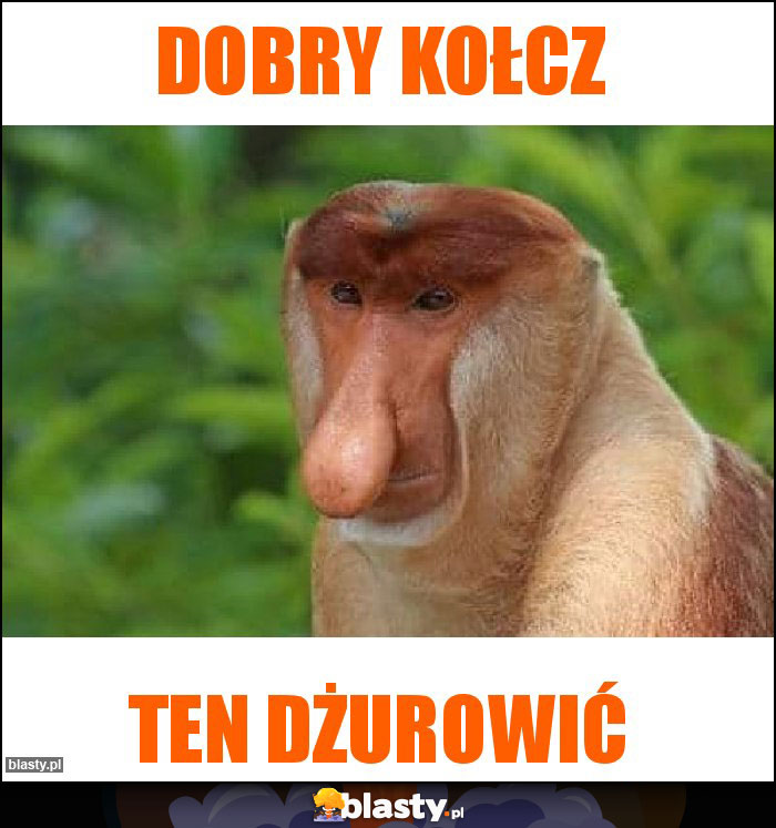 Dobry kołcz