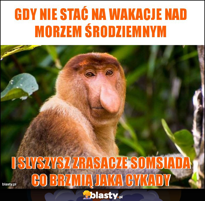 Gdy nie stać Na wakacje nad morzem środziemnym
