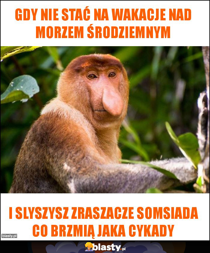 Gdy nie stać Na wakacje nad morzem środziemnym