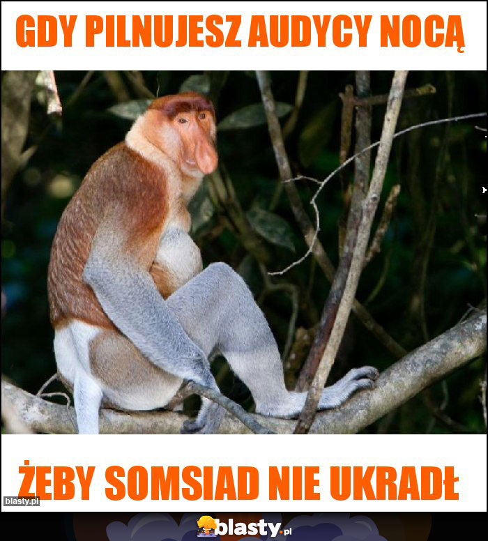 Gdy pilnujesz audycy nocą