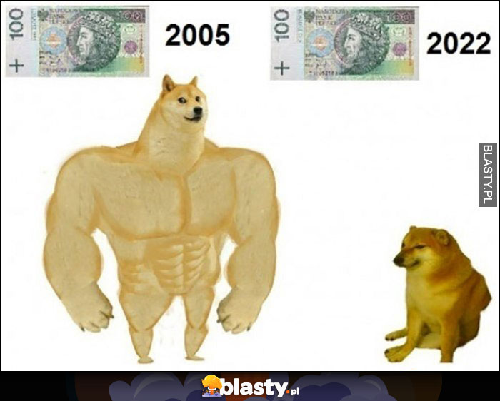 Inflacja banknot 100 złotych w 2005 vs 2022 pies pieseł doge cheems